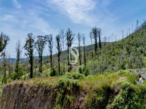 Lote Industrial
