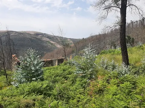 Moradia Devoluta