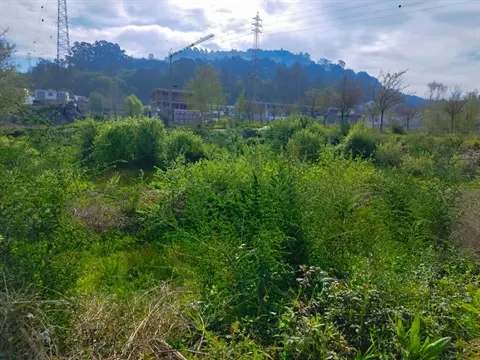 Terreno