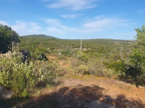 Terreno Misto