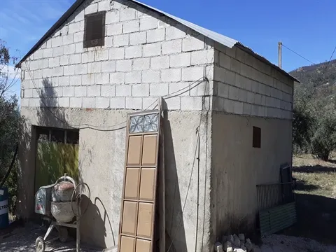 Terreno