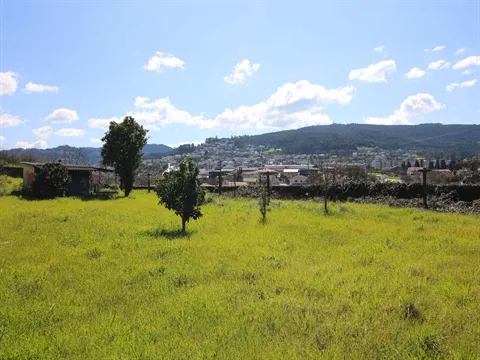 Terreno
