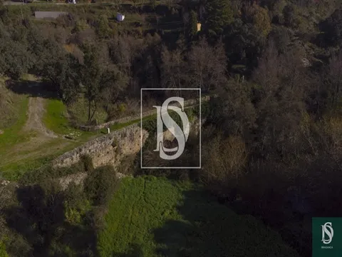 Quinta
