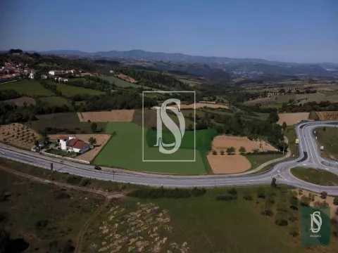 Terreno Misto