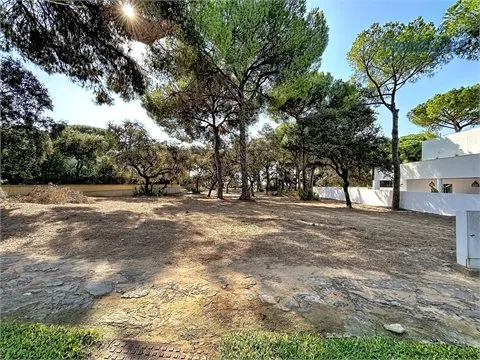 Terreno Urbano