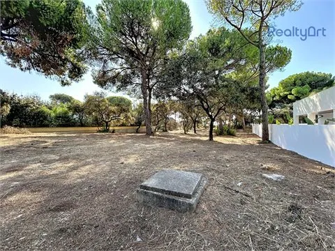 Terreno Urbano