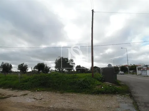 Terreno