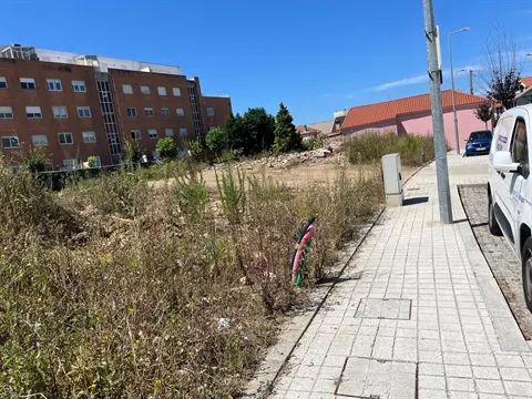 Terreno