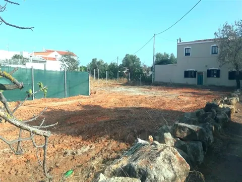 Terreno