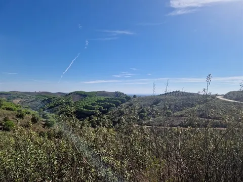 Terreno