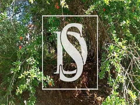 Terreno Rústico