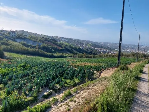 Terreno Rústico com Excelente Potencial Agrícola – Localização Privilegiada