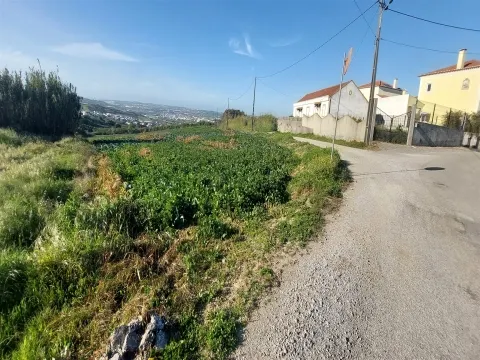 Terreno Rústico com Excelente Potencial Agrícola – Localização Privilegiada