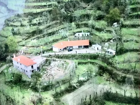 Quinta T4