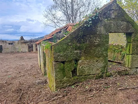 Farm