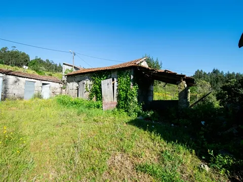Quinta T2