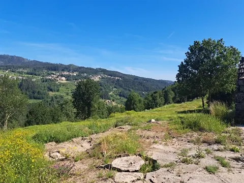 Quinta