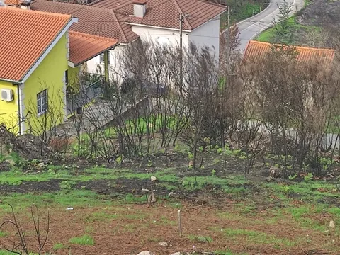 Terreno Urbano