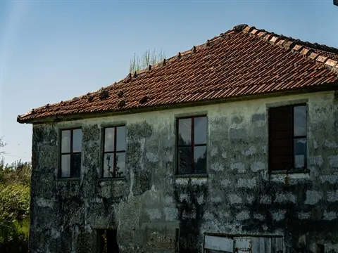 Quinta