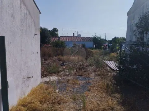 &#19968;&#27004;&#21035;&#22661;&#22312;600&#24179;&#26041;&#31859;&#30340;&#22303;&#22320;&#19978;&#24674;&#22797;&#65292;&#38463;&#38647;&#26391;&#65292;&#22307;&#22320;&#20122;&#21733;&#26460;&#21345;&#22622;&#22982;