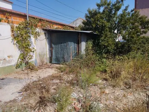 &#19968;&#27004;&#21035;&#22661;&#22312;600&#24179;&#26041;&#31859;&#30340;&#22303;&#22320;&#19978;&#24674;&#22797;&#65292;&#38463;&#38647;&#26391;&#65292;&#22307;&#22320;&#20122;&#21733;&#26460;&#21345;&#22622;&#22982;