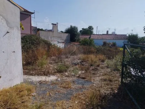 &#19968;&#27004;&#21035;&#22661;&#22312;600&#24179;&#26041;&#31859;&#30340;&#22303;&#22320;&#19978;&#24674;&#22797;&#65292;&#38463;&#38647;&#26391;&#65292;&#22307;&#22320;&#20122;&#21733;&#26460;&#21345;&#22622;&#22982;