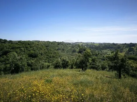 Terrain rustique de 11,95 ha avec faisabilité de construction sur la côte de l’Alentejo