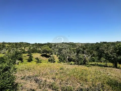 Terrain rustique de 11,95 ha avec faisabilité de construction sur la côte de l’Alentejo