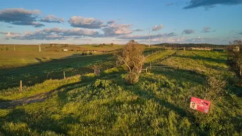 Agricultural Land with 4,375 ha, Coito Grande, Messejana, Aljustrel