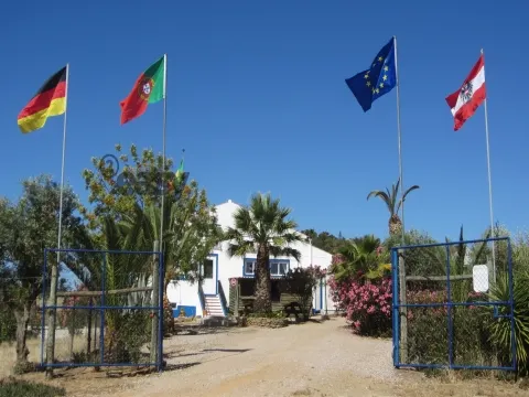 &#38463;&#23572;&#20811;&#29926;&#24453;&#21806;&#20892;&#22330;/&#24196;&#22253; - 785.000,00€