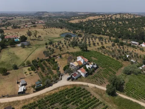 Сельскохозяйственная земля с оливковой рощей площадью 4500м2, Монтемор-о-Ново