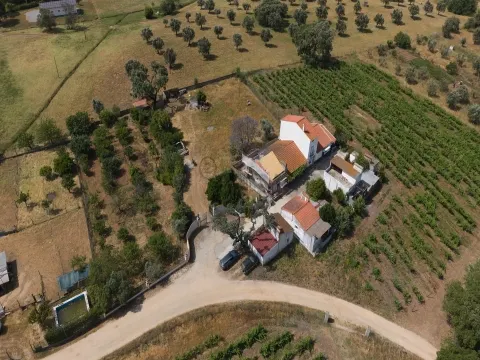 Сельскохозяйственная земля с оливковой рощей площадью 4500м2, Монтемор-о-Ново