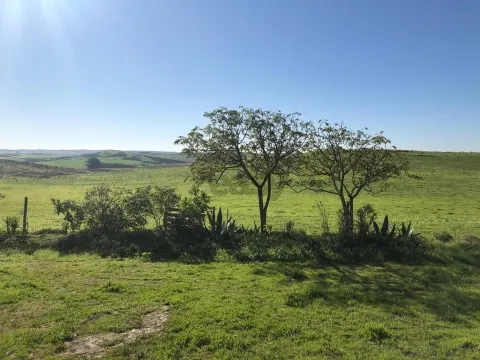 Moradia com 9 divisões para remodelar, Alcaria do Coelho, São Marcos da Ataboeira