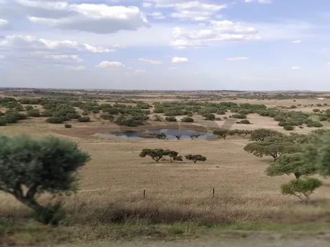 有9个房间的房子，阿尔卡里亚·杜·科埃略，圣马科斯·达·阿塔博埃拉