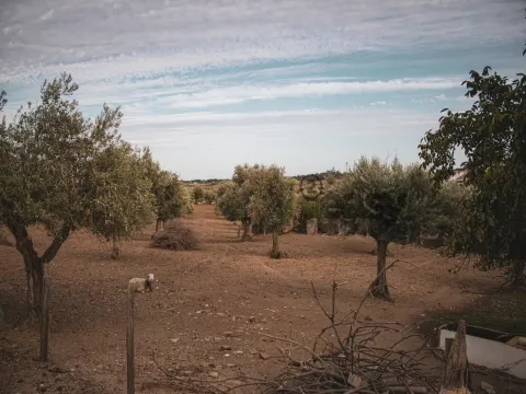 PORTEL &#20986;&#21806;&#30340; 1.65 &#20844;&#39031;&#28151;&#21512;&#22303;&#22320;