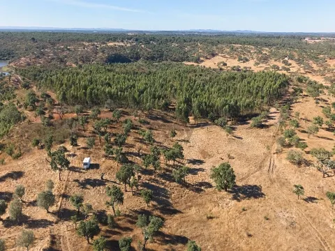 &#1057;&#1084;&#1077;&#1096;&#1072;&#1085;&#1085;&#1099;&#1081; &#1079;&#1077;&#1084;&#1077;&#1083;&#1100;&#1085;&#1099;&#1081; &#1091;&#1095;&#1072;&#1089;&#1090;&#1086;&#1082; &#1087;&#1083;&#1086;&#1097;&#1072;&#1076;&#1100;&#1102; 8250&#1084;2, &#1074;&#1086;&#1079;&#1084;&#1086;&#1078;&#1085;&#1086;&#1089;&#1090;&#1100; &#1089;&#1090;&#1088;&#1086;&#1080;&#1090;&#1077;&#1083;&#1100;&#1089;&#1090;&#1074;&#1072; &#1076;&#1086;&#1084;&#1072; 108&#1084;2, &#1040;&#1073;&#1077;&#1083;&#1072;, &#1040;&#1083;&#1077;&#1085;&#1090;&#1077;&#1078;&#1091;