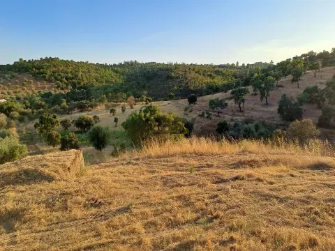 &#20301;&#20110;&#38463;&#23572;&#20811;&#29926;&#30340;&#20065;&#26449;&#22303;&#22320;&#65292;&#21344;&#22320; 6.82 &#20844;&#39031;&#65292;&#26377;&#24223;&#22687;&#21644;&#27700;&#20117;