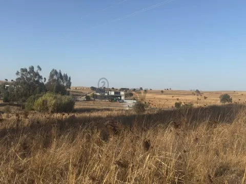 Terreno rústico com 4.5ha, Casével, Castro Verde