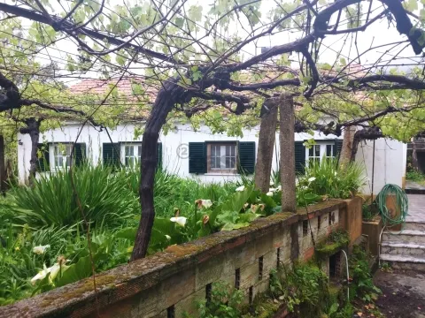 Moradia T3 térrea com terreno na Serra d’Arga | Covas, Vila Nova de Cerveira