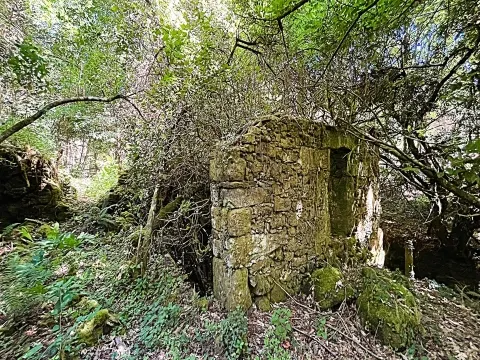 独立屋恢复 2个房间