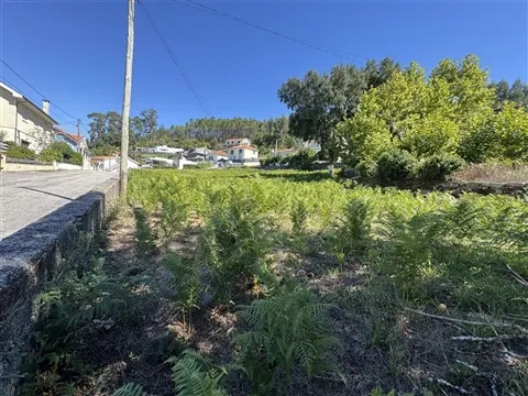 TERRENO PARA CONSTRUÇÃO COM 2.405 m² | REFOJOS DE BASTO – CABECEIRAS DE BASTO