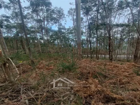 Terreno Rústico em Sendim , Felgueiras