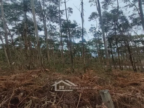 Terreno Rústico em Sendim , Felgueiras