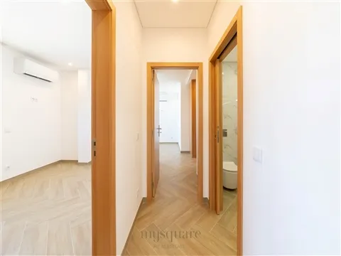 img_8