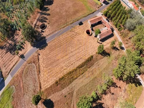 Moradia T2 p/ reconstrução em Ferreira a Nova