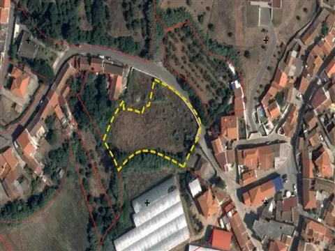 Terreno Misto