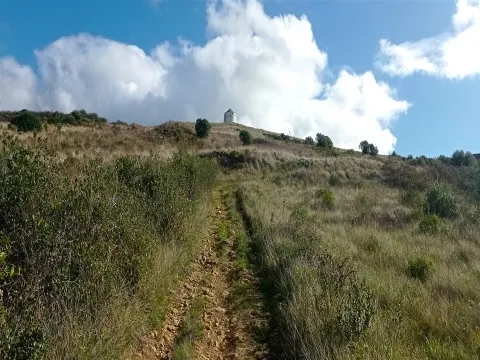 Landgrundstück