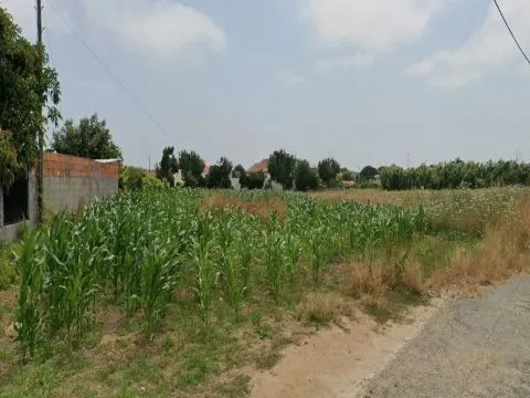 Land in Aveiro, São Bernardo,  to build a house