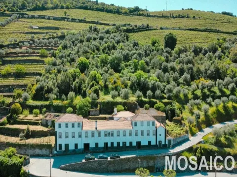 Domaine >=10 Chambre(s)