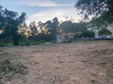 Real Estate